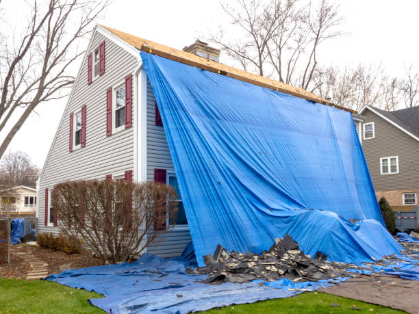 Best Insulated Siding Installation  in Paradise Valley, AZ